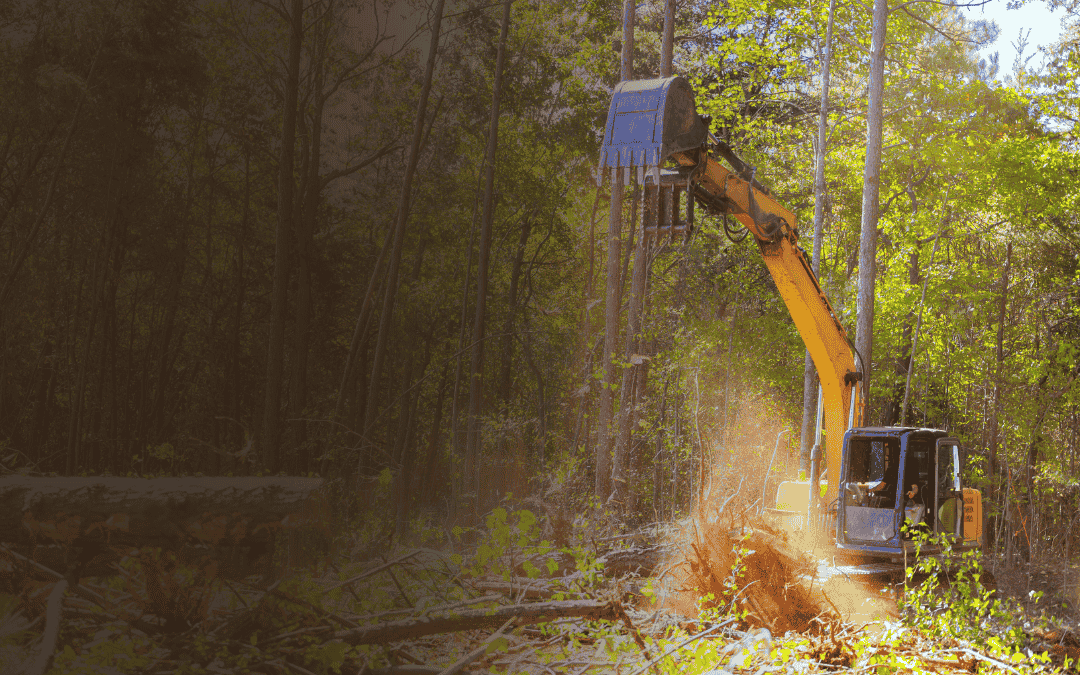 land clearing in greenville sc